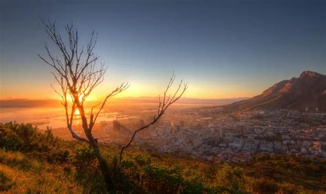 Kirstenbosch: Einer der schönsten Botanischen Gärten der Welt